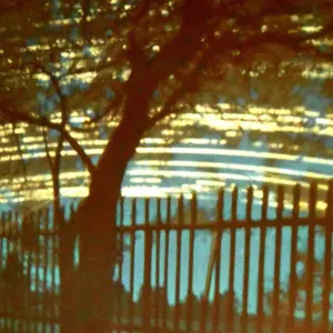 Camera Obscura Fotografie eines Gartenzauns